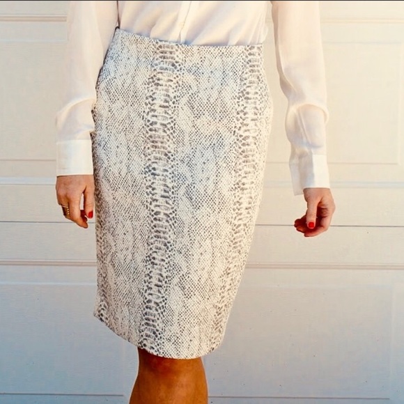 Ann Taylor Dresses & Skirts - Ann Taylor Snake Print Pencil Skirt White Grey 4